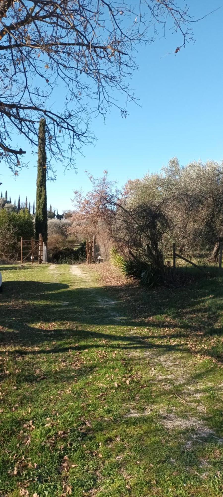Casa In Maremma Apartment Montemerano