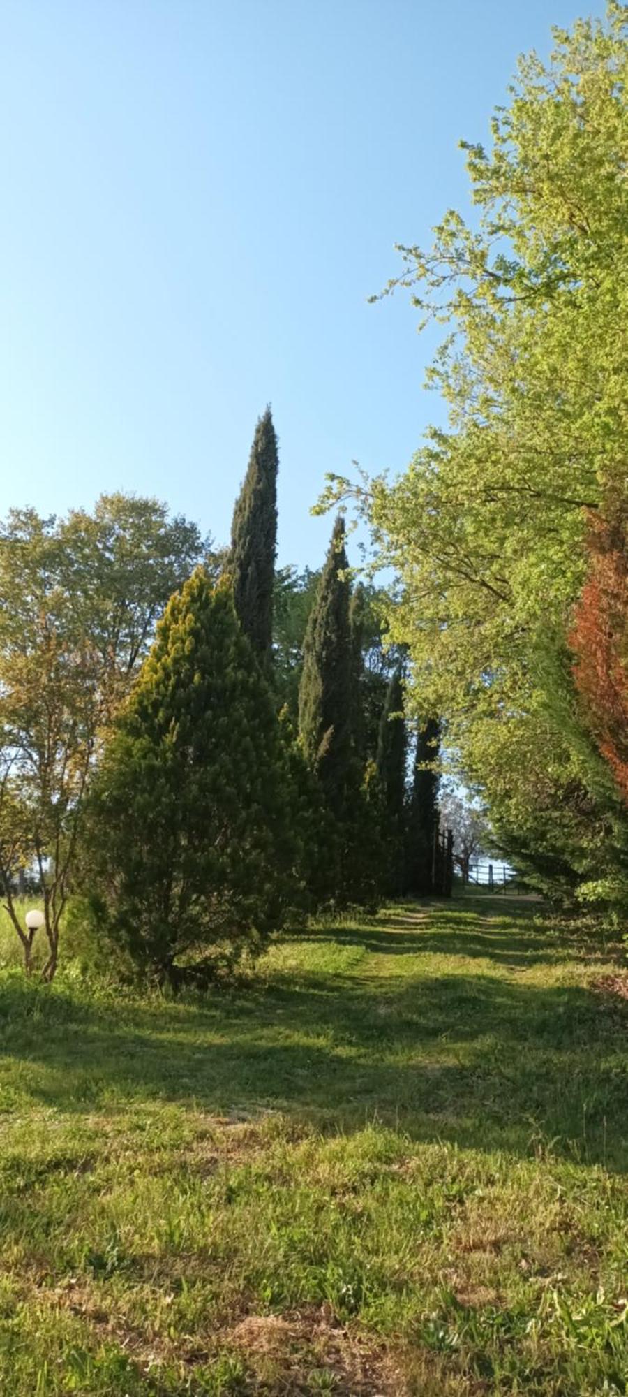 Apartment Casa In Maremma Montemerano
