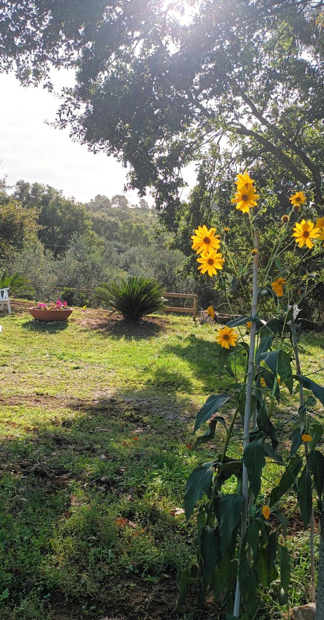 Casa In Maremma Montemerano