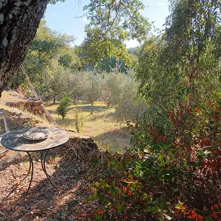 Casa In Maremma Apartment Montemerano Exterior photo