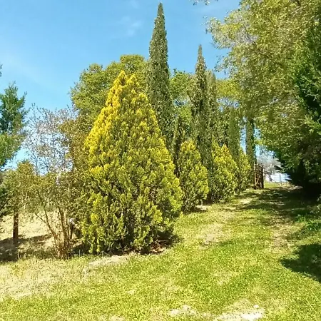 Casa In Maremma Apartment Montemerano Exterior photo