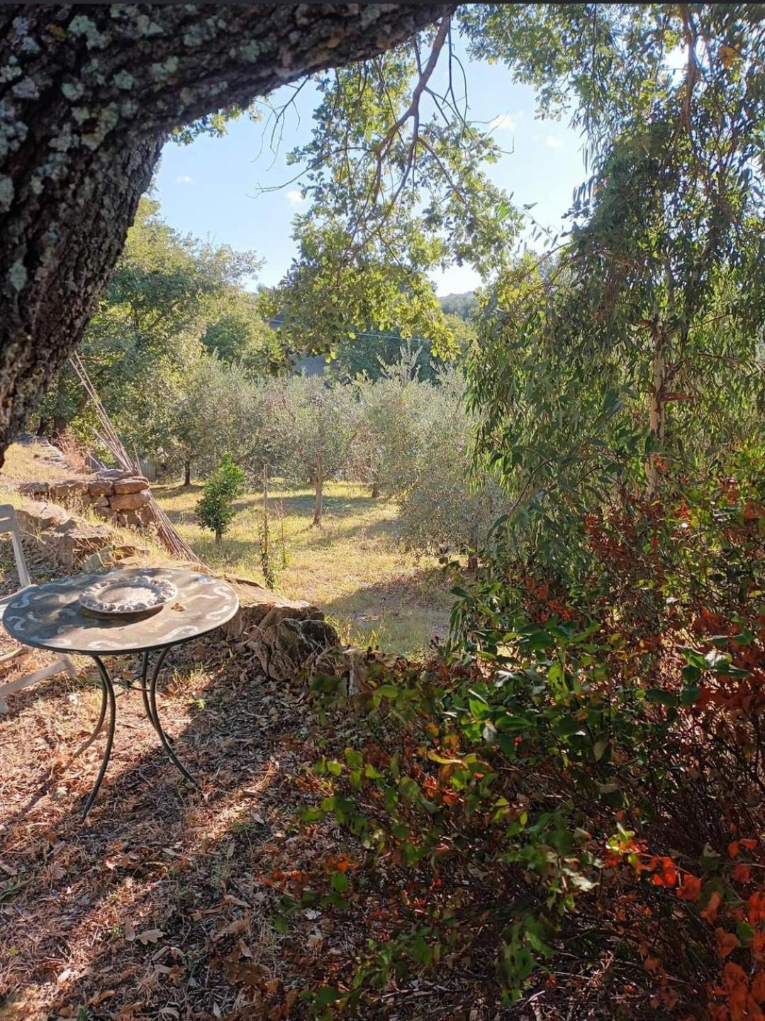 Casa In Maremma Apartment