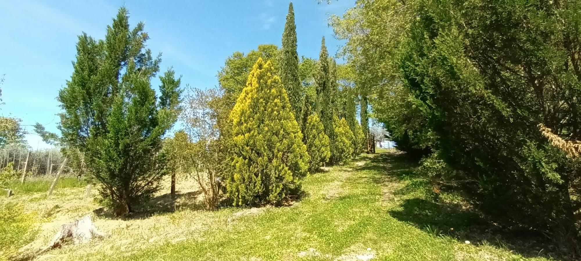 Casa In Maremma