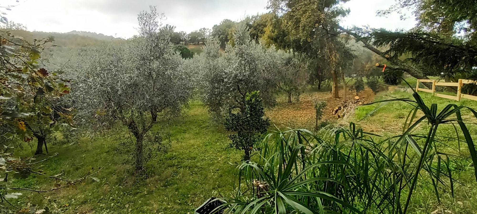 Casa In Maremma
